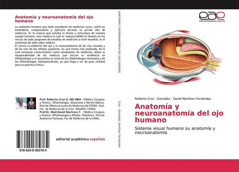 Anatomía y neuroanatomía del ojo humano: Sistema visual humano su anatomía y neuroanatomía - Image 1