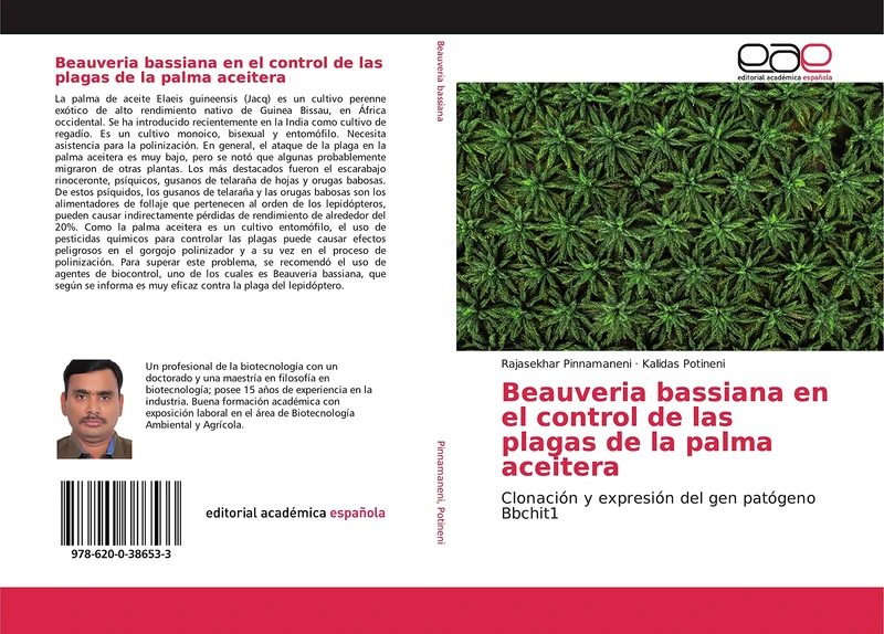 Beauveria bassiana en el control de las plagas de la palma aceitera: Clonación y expresión del gen patógeno Bbchit1 - Image 1