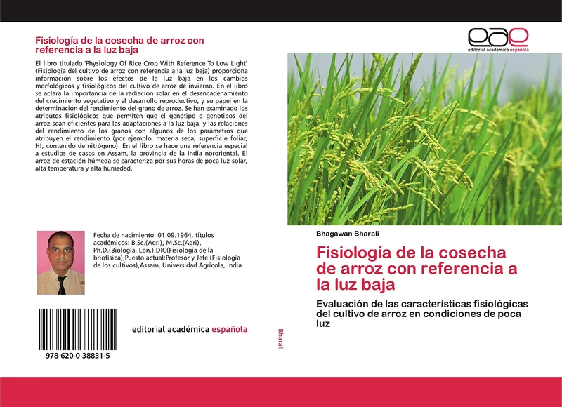 Fisiología de la cosecha de arroz con referencia a la luz baja: Evaluación de las características fisiológicas del cultivo de arroz en condiciones de poca luz - Image 1