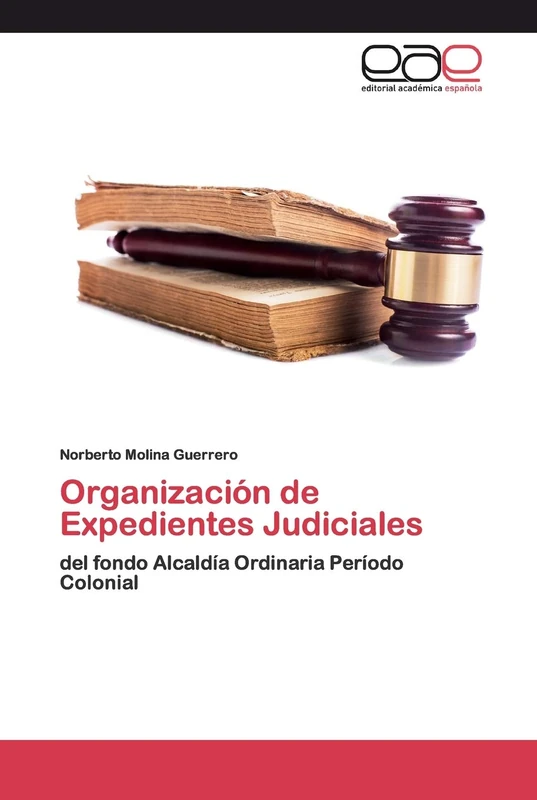 Organización de Expedientes Judiciales: del fondo Alcaldía Ordinaria Período Colonial