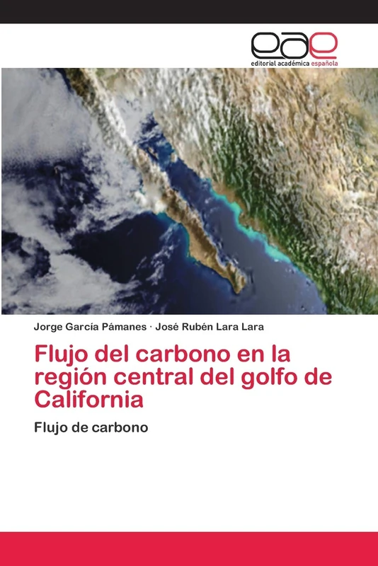 Flujo del carbono en la región central del golfo de California: Flujo de carbono