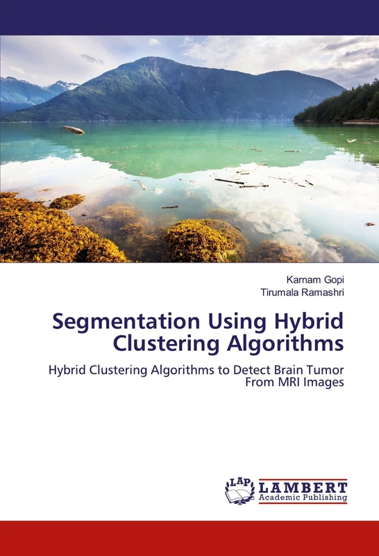 Segmentation Using Hybrid Clustering Algorithms: Hybrid Clustering Algorithms to Detect Brain Tumor From MRI Images