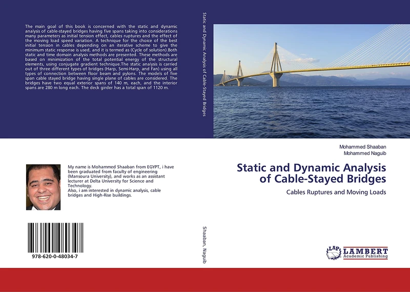Static and Dynamic Analysis of Cable-Stayed Bridges: Cables Ruptures and Moving Loads - Image 1