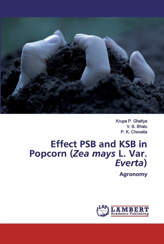 Effect PSB and KSB in Popcorn (Zea mays L. Var. Everta): Agronomy