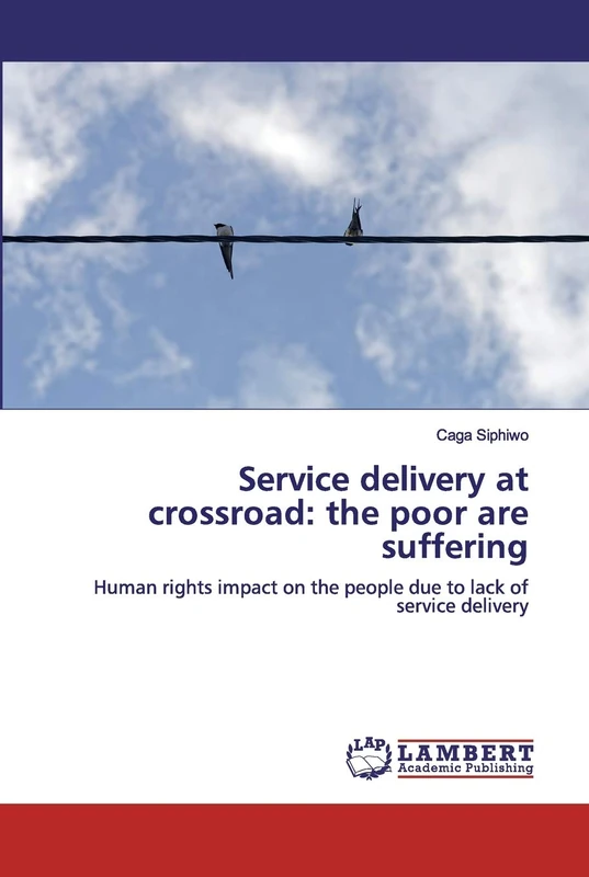 Service delivery at crossroad: the poor are suffering: Human rights impact on the people due to lack of service delivery