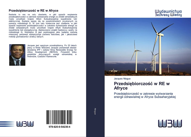 Przedsiębiorczość w RE w Afryce: Przedsiębiorczość w zakresie wytwarzania energii odnawialnej w Afryce Subsaharyjskiej