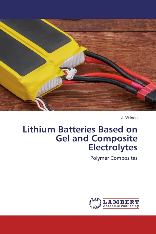 Lithium Batteries Based on Gel and Composite Electrolytes: Polymer Composites