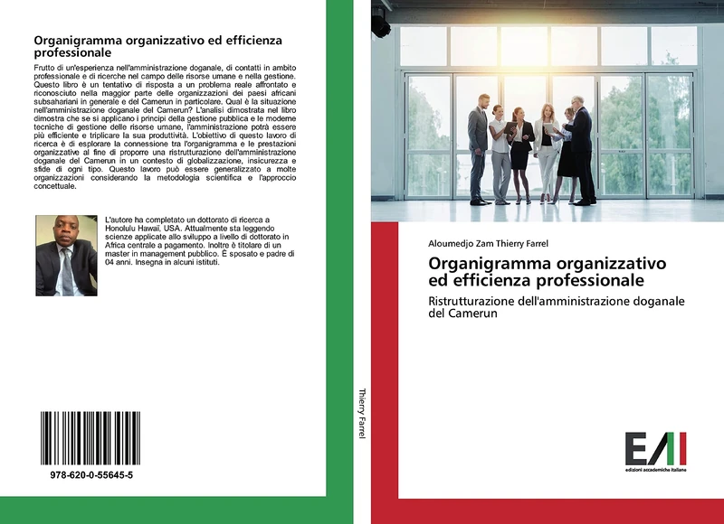 Organigramma organizzativo ed efficienza professionale: Ristrutturazione dell'amministrazione doganale del Camerun - Image 1