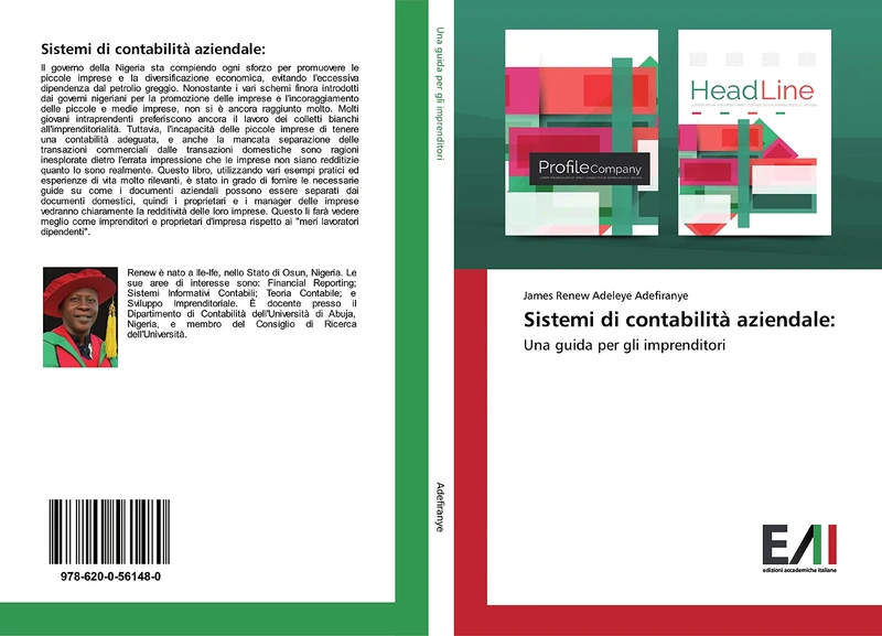 Sistemi di contabilità aziendale:: Una guida per gli imprenditori