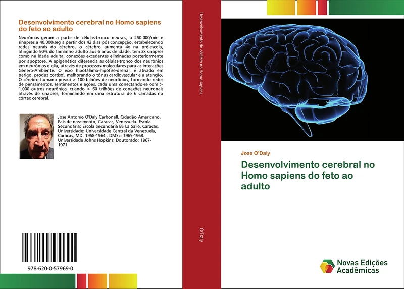 Desenvolvimento cerebral no Homo sapiens do feto ao adulto
