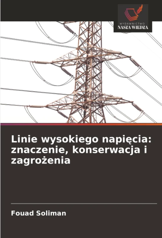 Linie wysokiego napięcia: znaczenie, konserwacja i zagrożenia