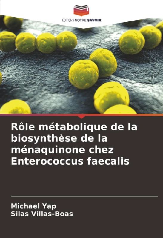 Rôle métabolique de la biosynthèse de la ménaquinone chez Enterococcus faecalis