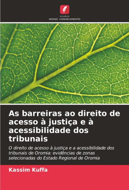 As barreiras ao direito de acesso à justiça e à acessibilidade dos tribunais