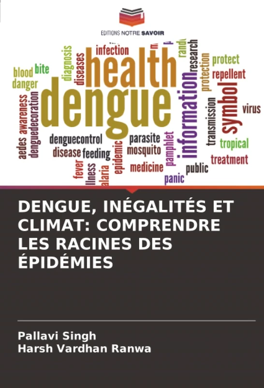 DENGUE, INÉGALITÉS ET CLIMAT: COMPRENDRE LES RACINES DES ÉPIDÉMIES - Image 1