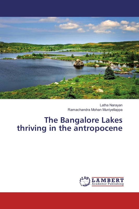 The Bangalore Lakes thriving in the antropocene - Image 1