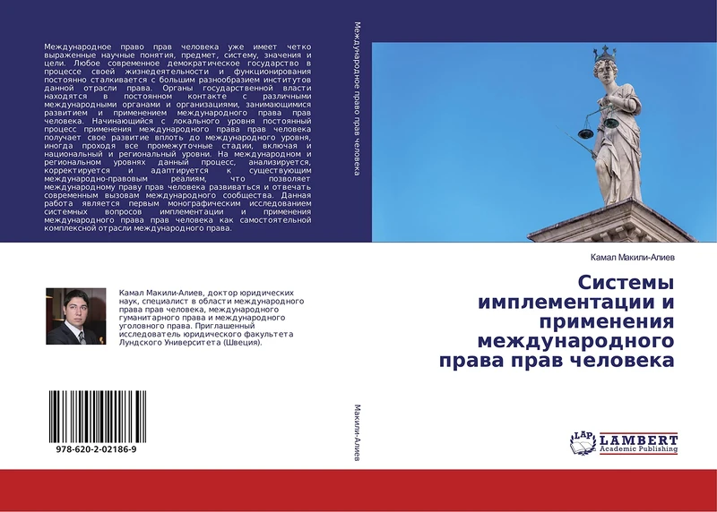 Системы имплементации и применения международного права прав человека - Image 1