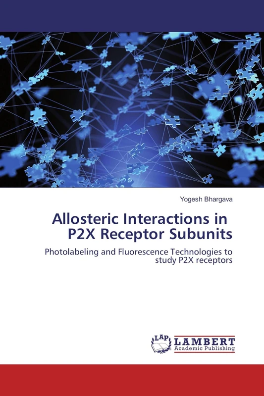 Allosteric Interactions in P2X Receptor Subunits: Photolabeling and Fluorescence Technologies to study P2X receptors - Image 1