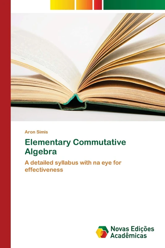 Elementary Commutative Algebra: A detailed syllabus with na eye for effectiveness - Image 1