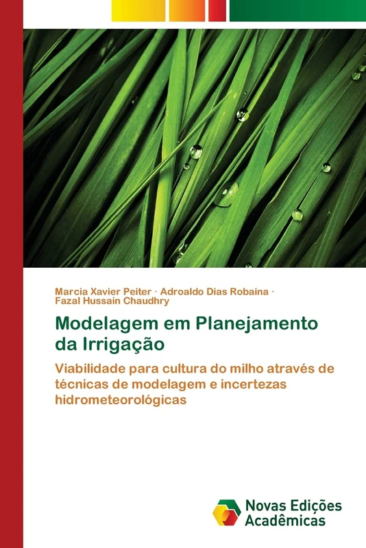 Modelagem em Planejamento da Irrigação: Viabilidade para cultura do milho através de técnicas de modelagem e incertezas hidrometeorológicas