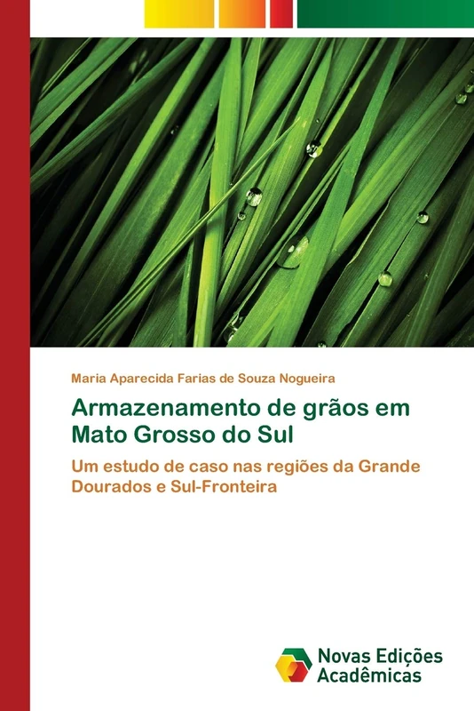 Armazenamento de grãos em Mato Grosso do Sul: Um estudo de caso nas regiões da Grande Dourados e Sul-Fronteira - Image 1
