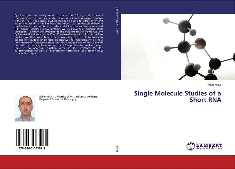 Single Molecule Studies of a Short RNA - Image 1