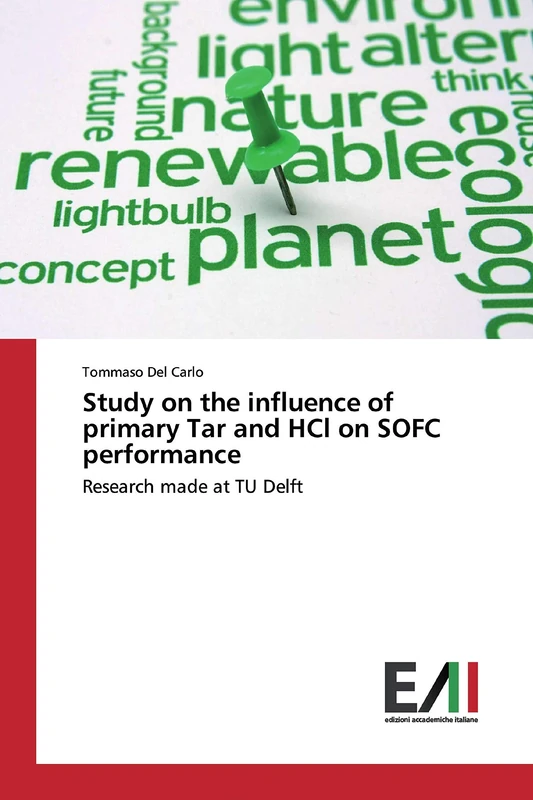 Study on the influence of primary Tar and HCl on SOFC performance: Research made at TU Delft