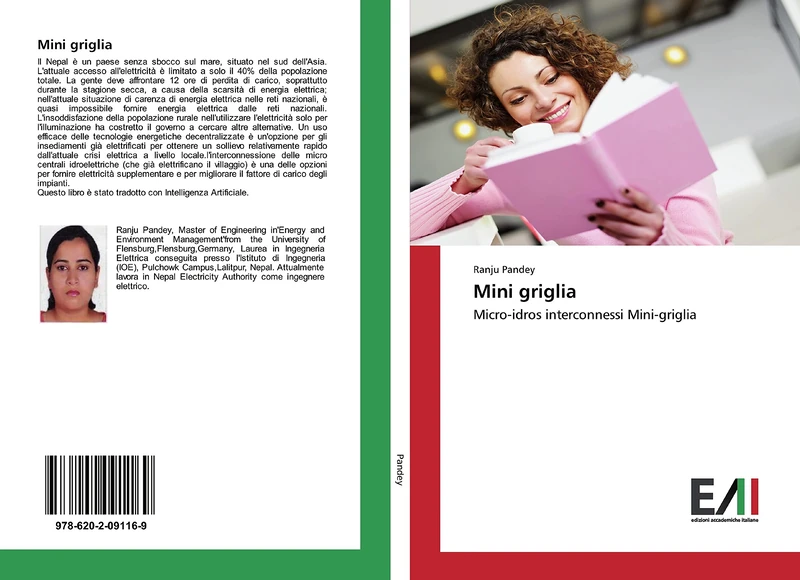 Mini griglia: Micro-idros interconnessi Mini-griglia - Image 1