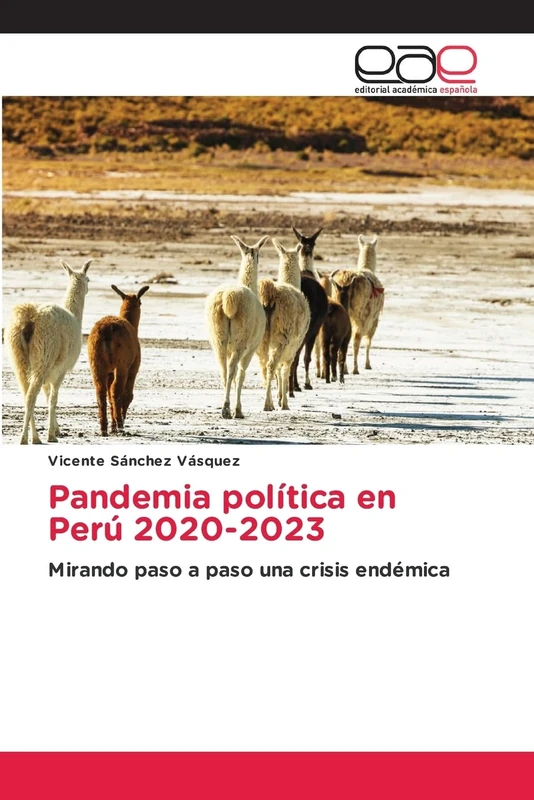 Pandemia política en Perú 2020-2023: Mirando paso a paso una crisis endémica