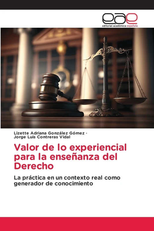 Valor de lo experiencial para la enseñanza del Derecho: La práctica en un contexto real como generador de conocimiento - Image 1