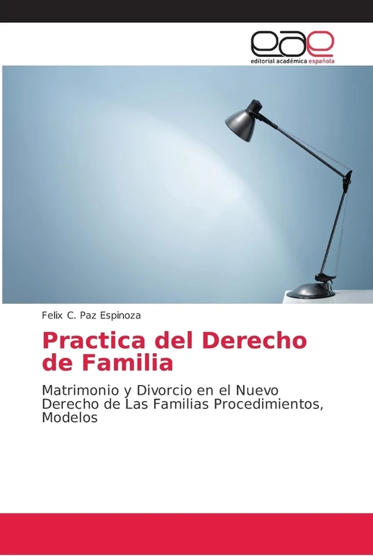 Practica del Derecho de Familia: Matrimonio y Divorcio en el Nuevo Derecho de Las Familias Procedimientos, Modelos