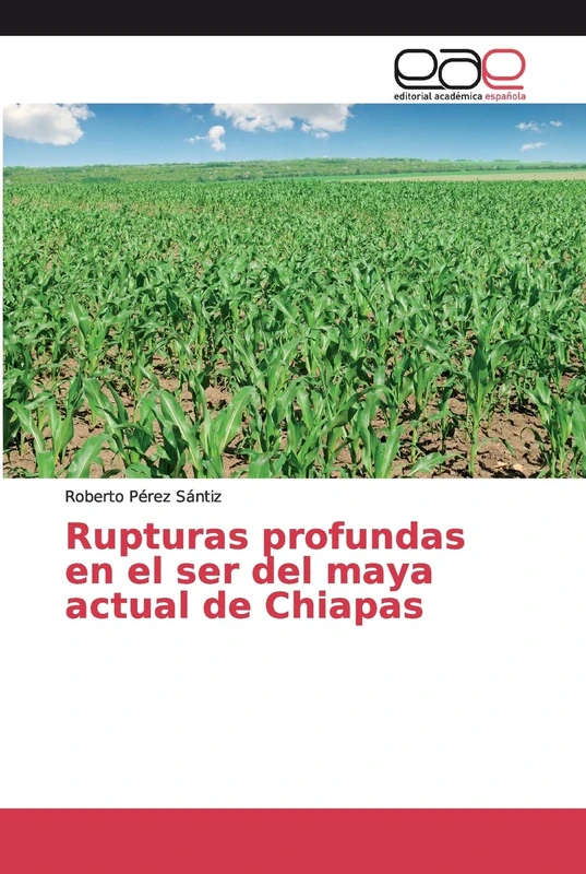 Rupturas profundas en el ser del maya actual de Chiapas - Image 1