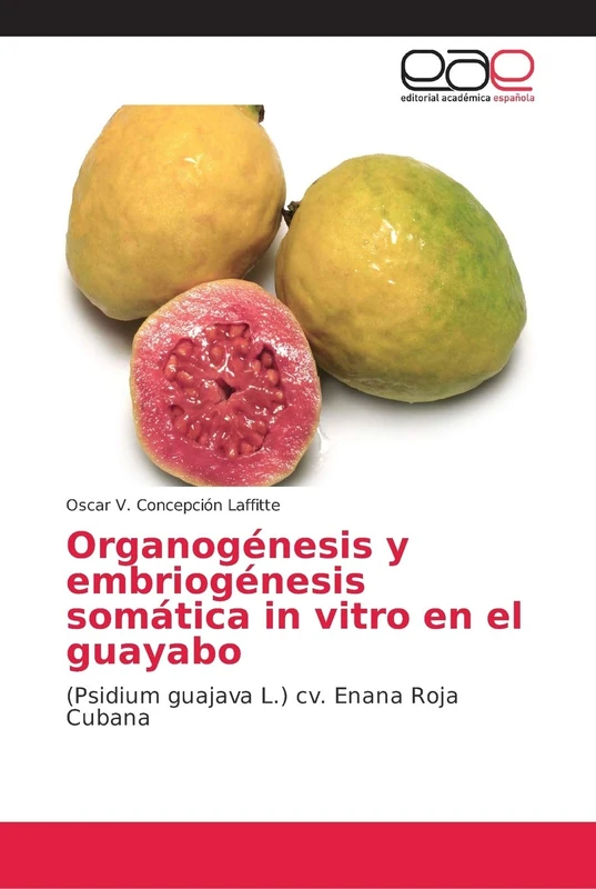 Organogénesis y embriogénesis somática in vitro en el guayabo: (Psidium guajava L.) cv. Enana Roja Cubana - Image 1