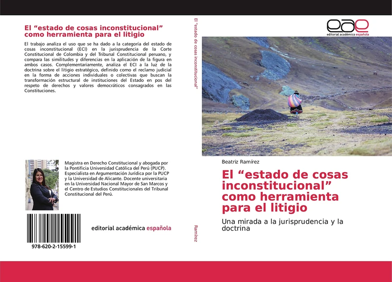 El “estado de cosas inconstitucional” como herramienta para el litigio: Una mirada a la jurisprudencia y la doctrina