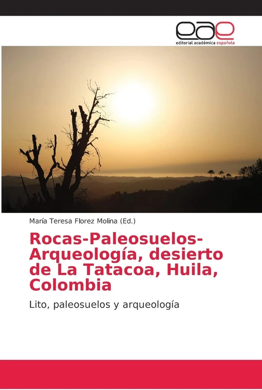 Rocas-Paleosuelos-Arqueología, desierto de La Tatacoa, Huila, Colombia: Lito, paleosuelos y arqueología - Image 1