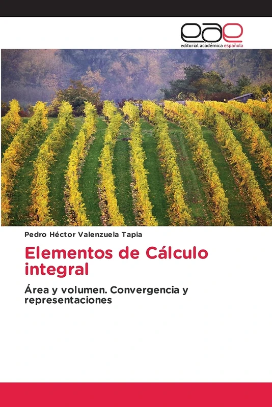 Elementos de Cálculo integral: Área y volumen. Convergencia y representaciones - Image 1