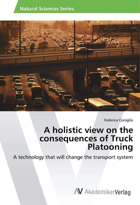 A holistic view on the consequences of Truck Platooning: A technology that will change the transport system - Image 1