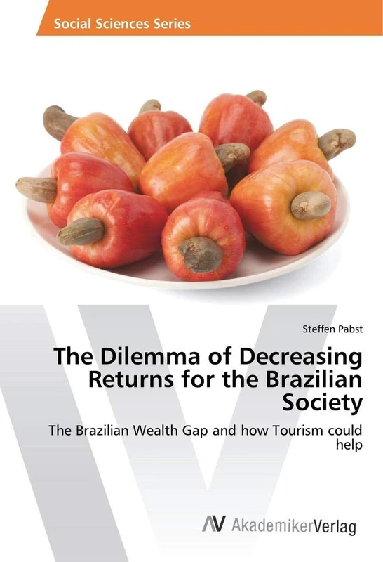 The Dilemma of Decreasing Returns for the Brazilian Society: The Brazilian Wealth Gap and how Tourism could help