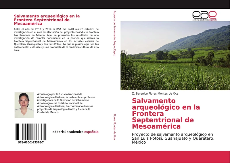 Salvamento arqueológico en la Frontera Septentrional de Mesoamérica: Proyecto de salvamento arqueológico en San Luis Potosí, Guanajuato y Querétaro, México