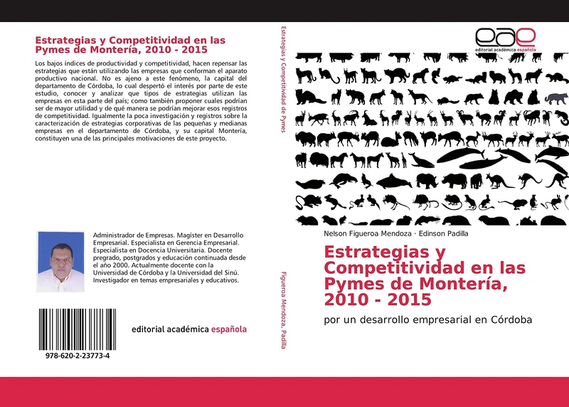 Estrategias y Competitividad en las Pymes de Montería, 2010 - 2015: por un desarrollo empresarial en Córdoba