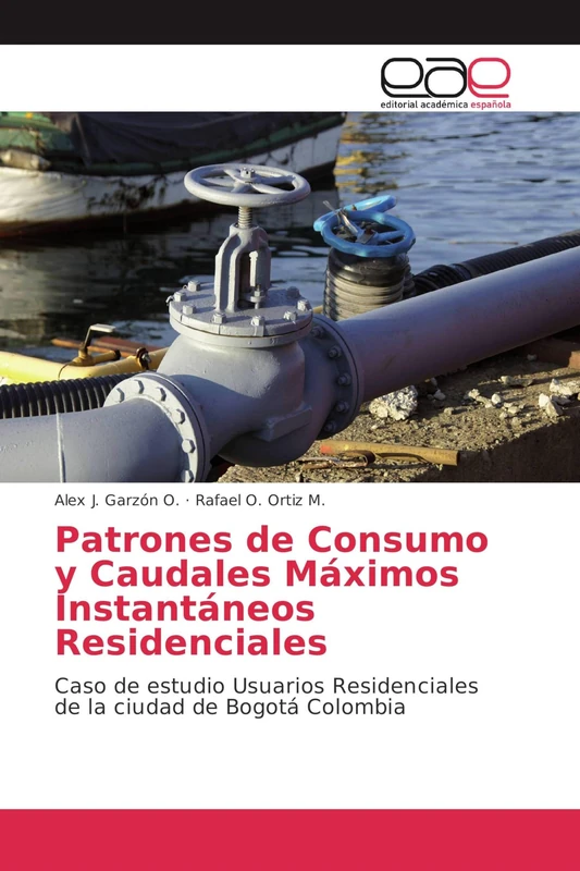 Patrones de Consumo y Caudales Máximos Instantáneos Residenciales: Caso de estudio Usuarios Residenciales de la ciudad de Bogotá Colombia