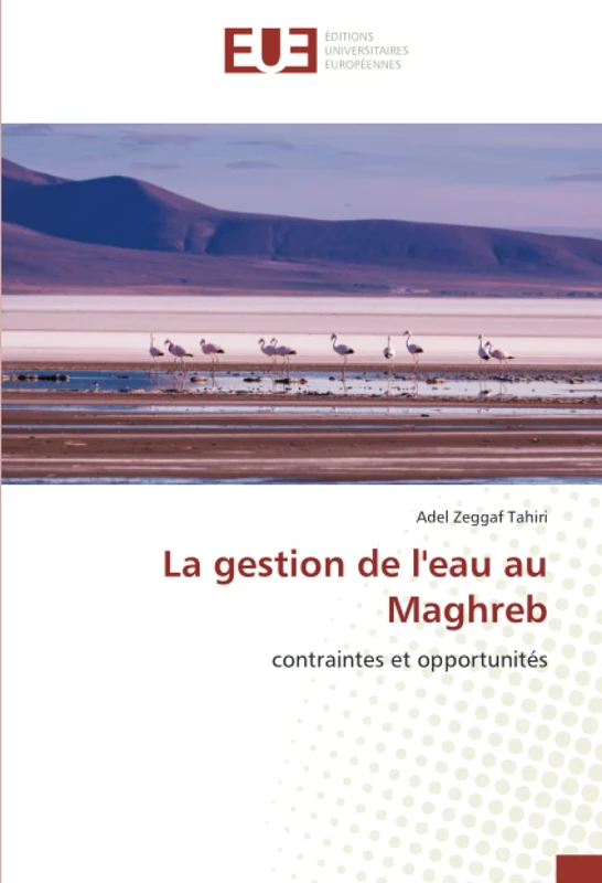 La gestion de l'eau au Maghreb: contraintes et opportunités