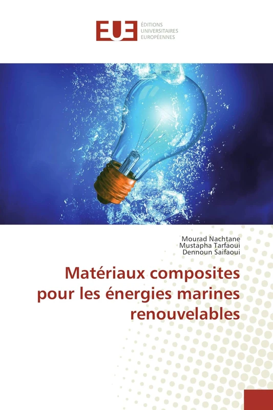 Matériaux composites pour les énergies marines renouvelables - Image 1