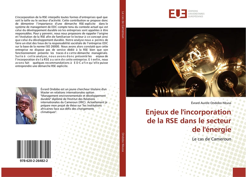 Enjeux de l'incorporation de la RSE dans le secteur de l'énergie: Le cas de Cameroun