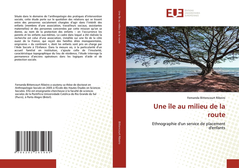 Une île au milieu de la route: Ethnographie d'un service de placement d'enfants