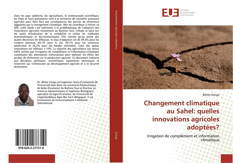 Changement climatique au Sahel: quelles innovations agricoles adoptées?: Irrigation de complément et information climatique