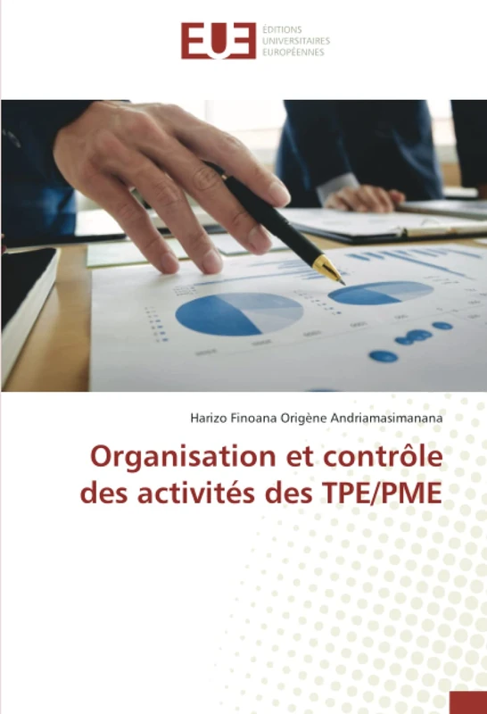 Organisation et contrôle des activités des TPE/PME - Image 1