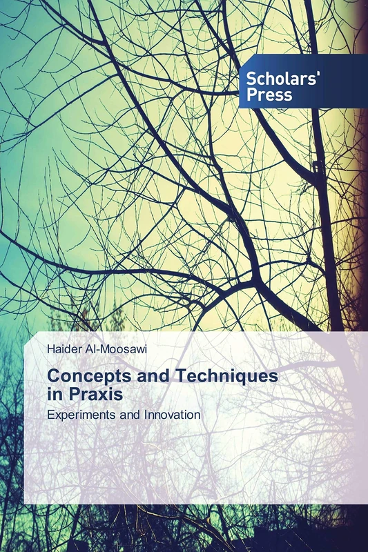 Concepts and Techniques in Praxis: Experiments and Innovation