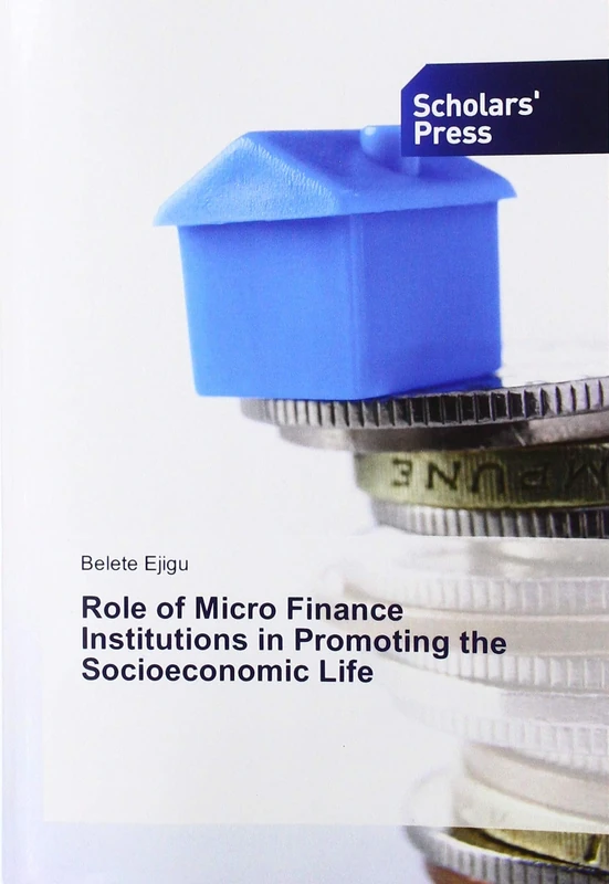 Role of Micro Finance Institutions in Promoting the Socioeconomic Life