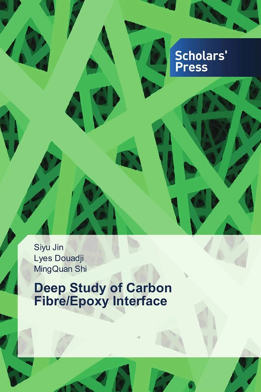 Deep Study of Carbon Fibre/Epoxy Interface
