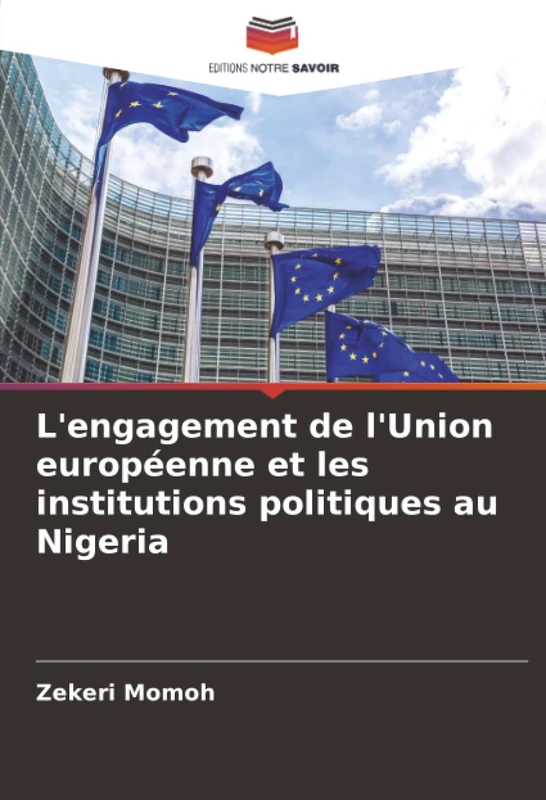L'engagement de l'Union européenne et les institutions politiques au Nigeria